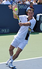 Featured image for “Michaël Llodra”