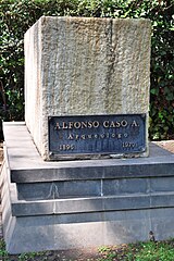 Featured image for “Alfonso Caso”