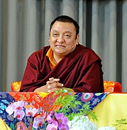 Featured image for “Shamar Rinpoche”