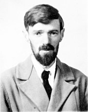 Featured image for “D.H. Lawrence”