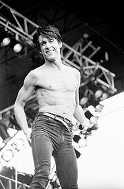 Featured image for “Iggy Pop”