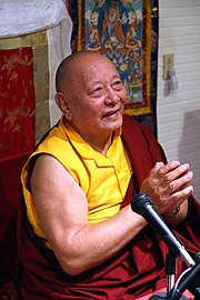 Featured image for “Khenpo Karthar Rinpoche”