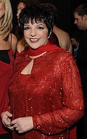 Featured image for “Liza Minnelli”