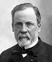 Featured image for “Louis Pasteur”