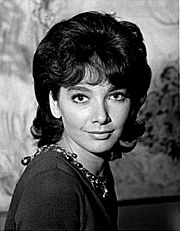 Featured image for “Suzanne Pleshette”