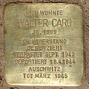 Featured image for “Walter Caro”