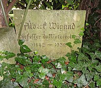 Featured image for “Albert Wigand”