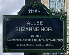 Featured image for “Suzanne Noël”