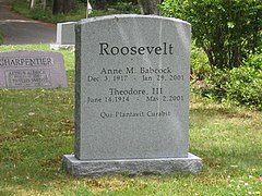 Featured image for “Theodore III Roosevelt”